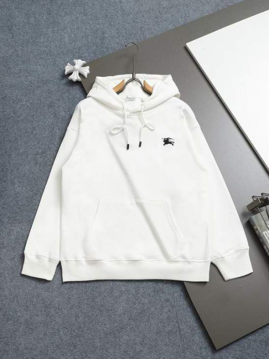 Picture of Burberry Hoodies _SKUBurberryXS-Lxetr411901
